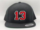 13 HISCHIER “SnapBack”